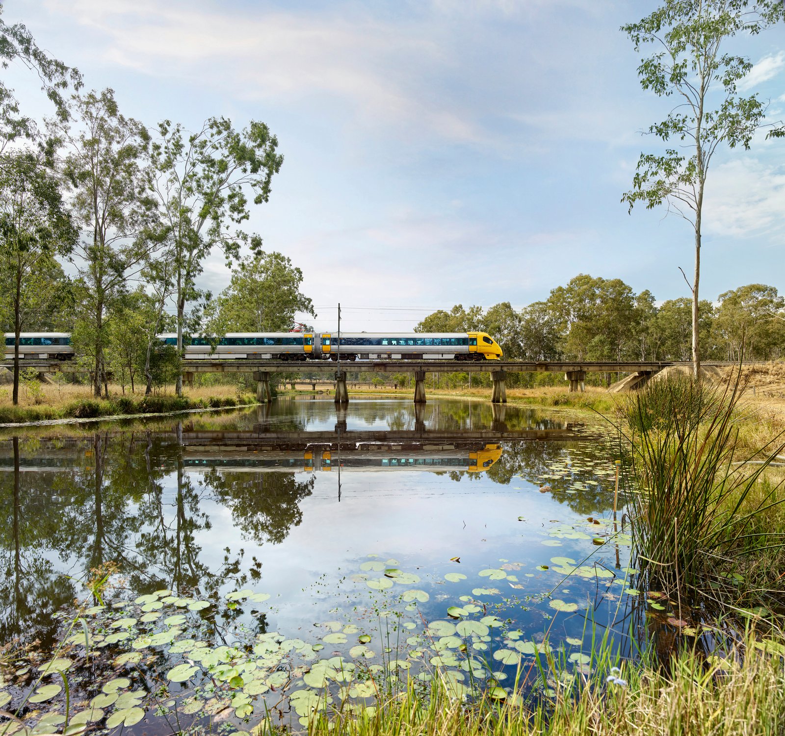 Spirit of Queensland Train